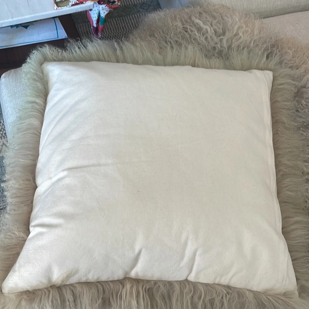 West Elm Throw Pillow